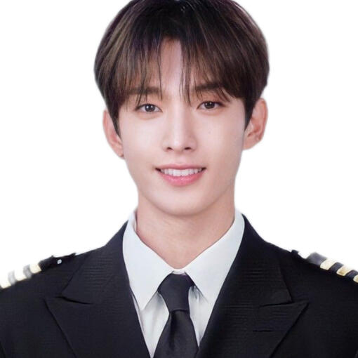ʚ seventeen dk ɞ