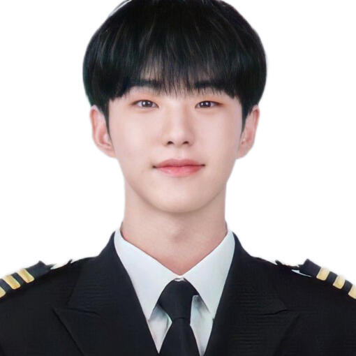 ʚ seventeen hoshi ɞ